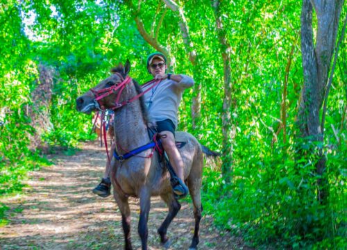 HORSEBACK RIDING & BEACH